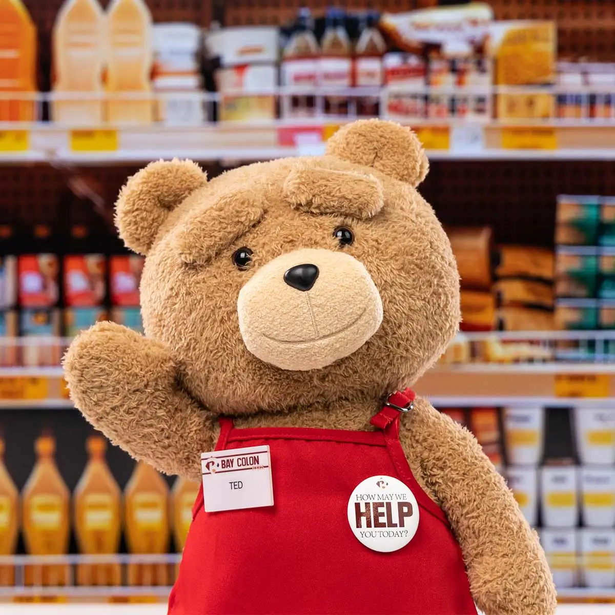 TED2 TED ACTION PLUSH DOLL